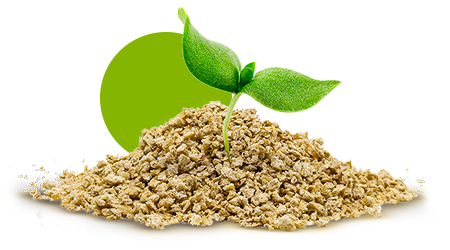 la lettiera amica dell'ambiente