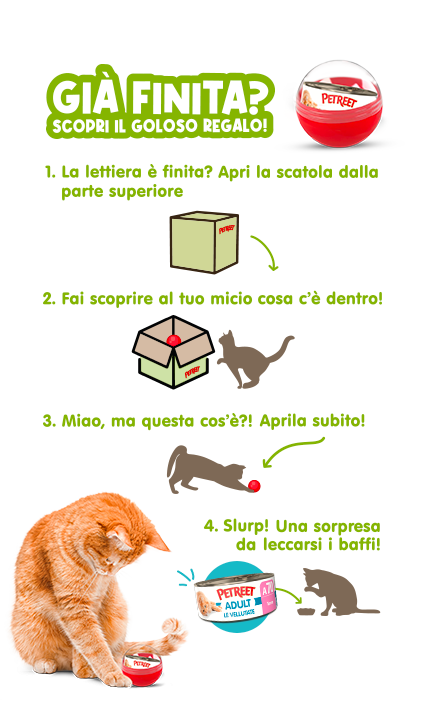 scopri il regalo quando finisce la lettiera