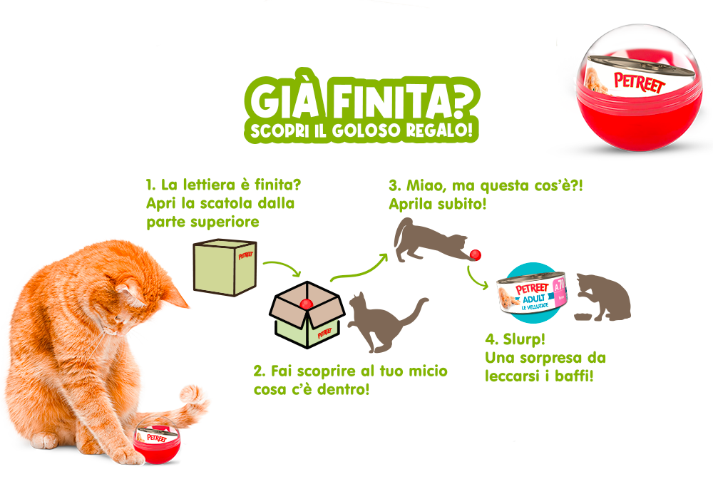 scopri il regalo quando finisce la lettiera