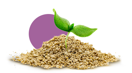 la lettiera amica dell'ambiente