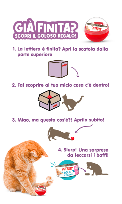 scopri il regalo quando finisce la lettiera