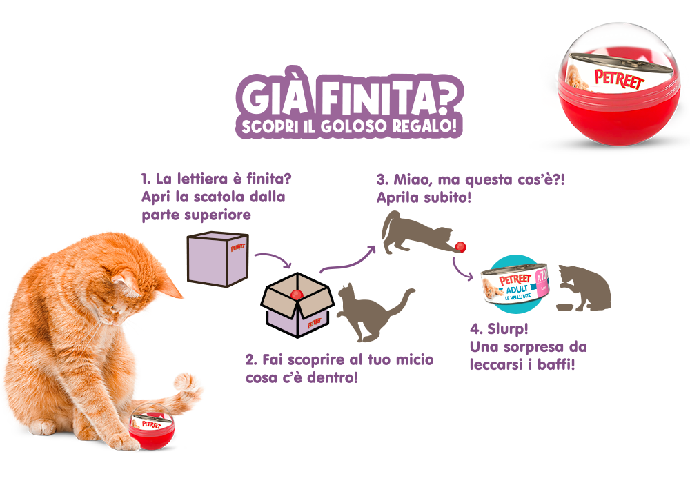 scopri il regalo quando finisce la lettiera